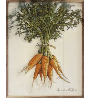 Carrots By Bonnie Mohr